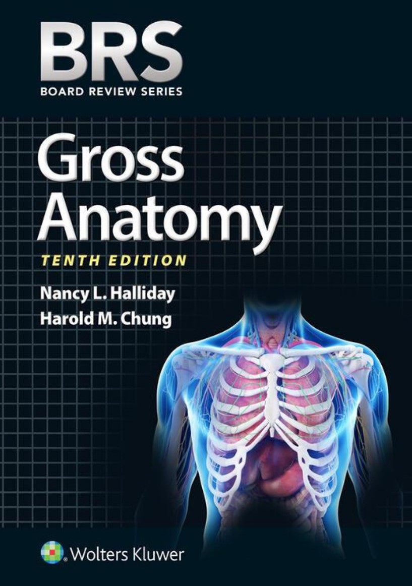 BRS Gross Anatomy (Board Review Series) - UPI2M BOOKS Knjižara Dobrih Ideja