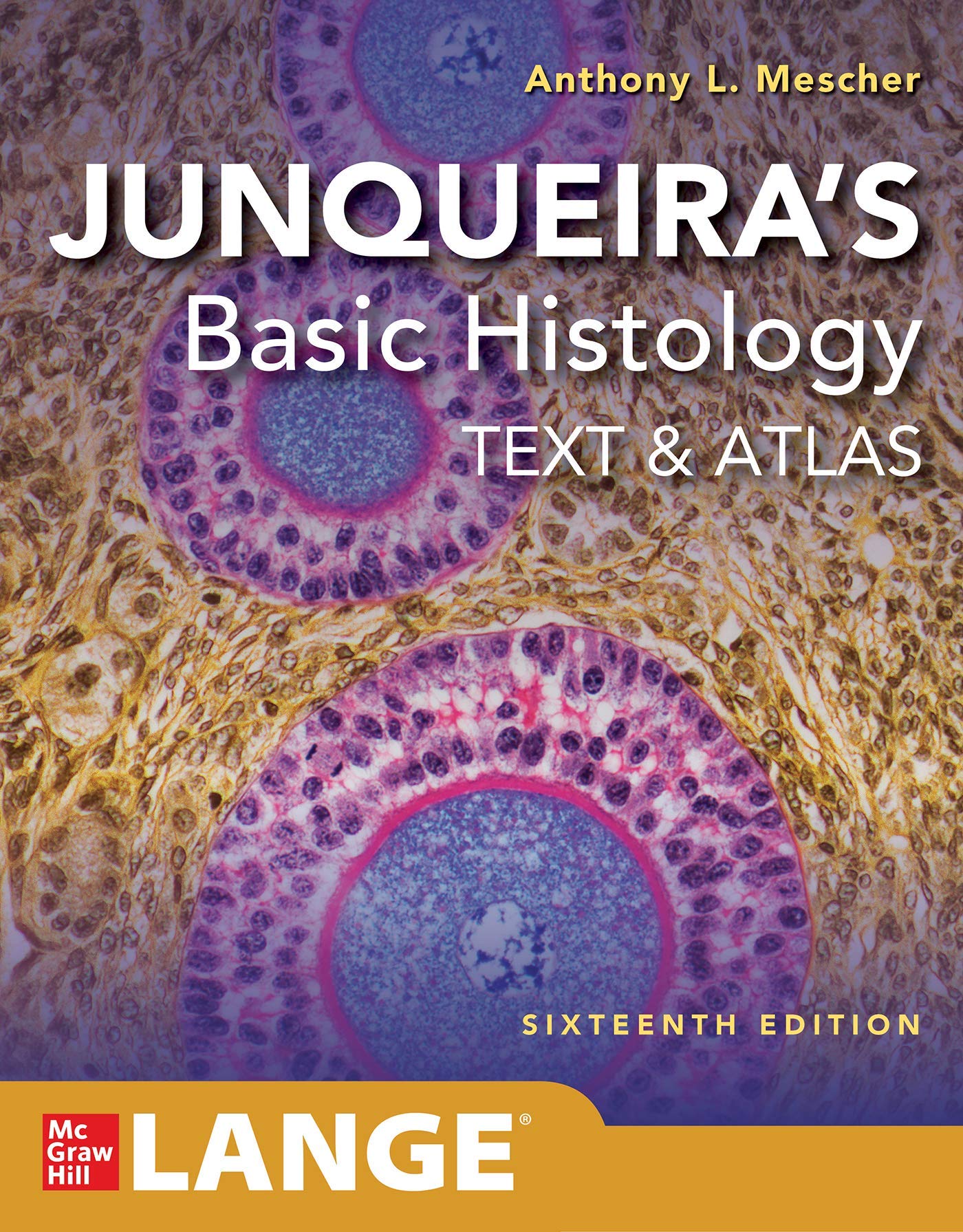 Junqueira's Basic Histology: Text And Atlas, 16th Edition - UPI2M BOOKS ...